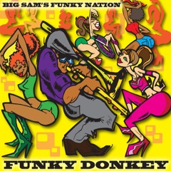 04 Funky Donkey (Dance Mix)
