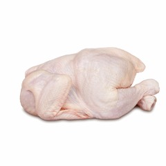 DECAPITATED ANIMALS DATASET