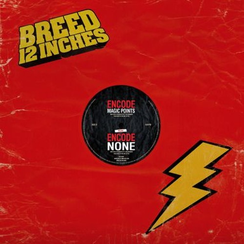 ENCODE - NONE (BRD008)