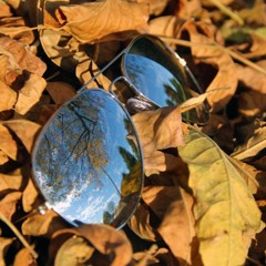 Nightcall - Love Won´t Grow