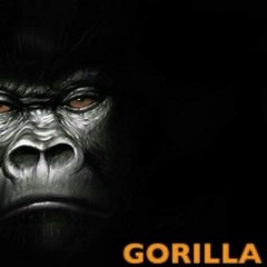 GWAP (Chopped & Screwed) by DJ Vanilladream.mp3