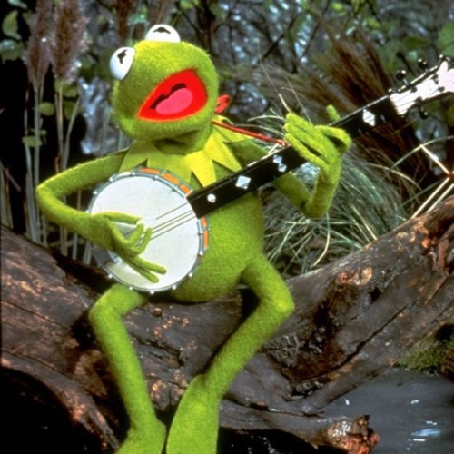Kermit - Luke Bryan - Strip It Down