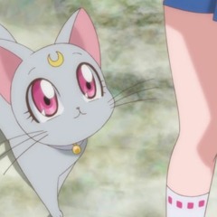 ｃｏｎｎｅｃｔｅｄ 永遠の