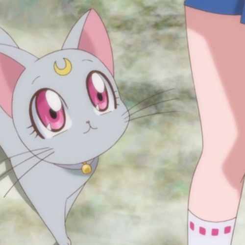 ｃｏｎｎｅｃｔｅｄ 永遠の