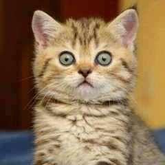 AURA - jangan nakal.mp3