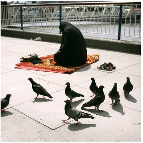 لاإلاه إلا الله وحده لا شريك له ،له الملك وله الحمد و هو على كل شي قدير
