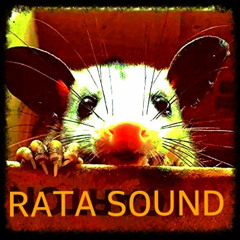 Ratas sound & The New School  -- Yoni --   ( Original Mix )