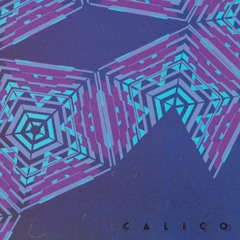 Calico - Fold A Winning Hand