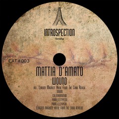 #INTR003 MATTIA D'AMATO "WOUND EP" incl.LORENZO MAGNOZZI VOCAL FROM THE CROW REVIEW