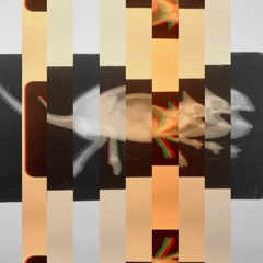 Please Don't Wake Me From My Bleep Bloop