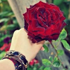 رولا ذكي-بين ايديك