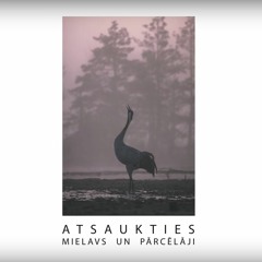 Ķīvītes Dzērves Un Mēs