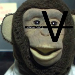 Cachai o no ~(prod Robbin Blomkvist)