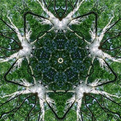 Immer Dieses Haze (Beat By Alfred Dope)