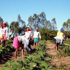AgroEnlace(Cuña):Día internacional de las mujeres rurales. Octubre 10,2012.