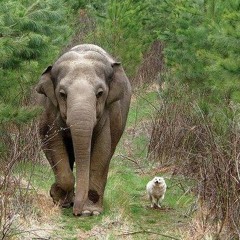 Ziemlich beste Freunde