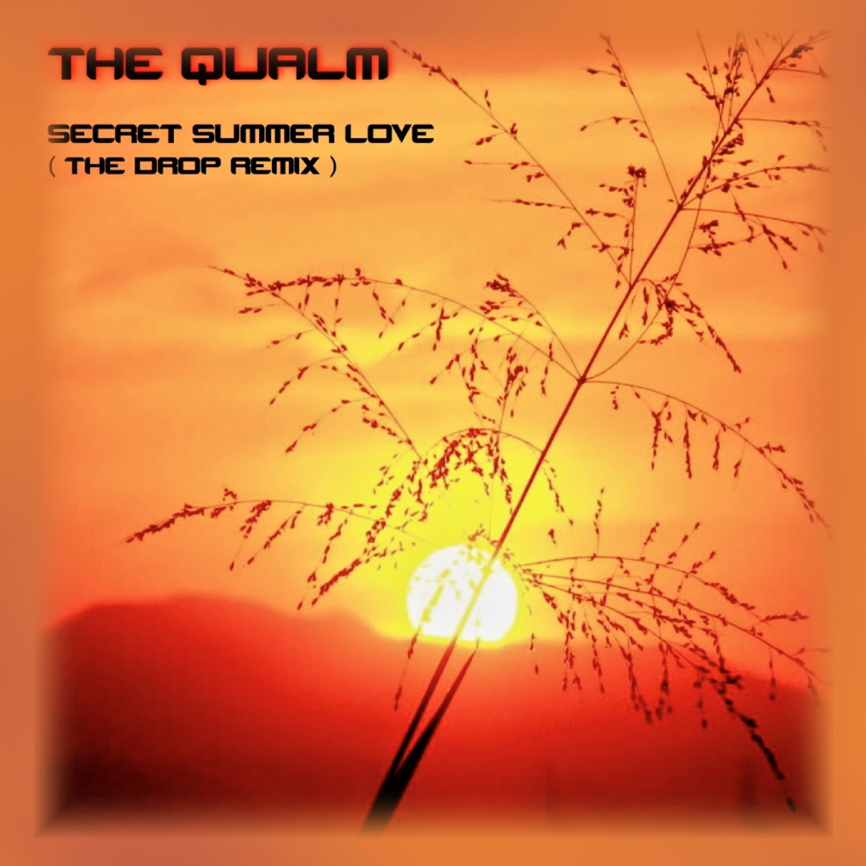THE QUALM - SECRET SUMMER LOVE ( THE DROP REMIX ) episode artwork