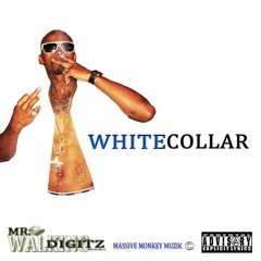 Dumb MR Walking Digitz.wav