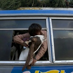 thain k alkot e eidi has