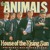 Artwork for The Animals - House of The Rising Sun - Heavy Metal Mix(Jenia Starling)