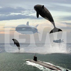 Shake It To The Blimp (128BPM)