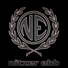 NITZEREBB (Deafening MIXture) - Fragilcure