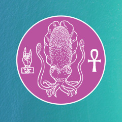 THE SQUIDS - "Damn Dude"