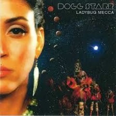 DoggStarr (12" Instrumental)- Ladybug Mecca