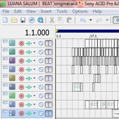 luana salum - Estrumental lapa