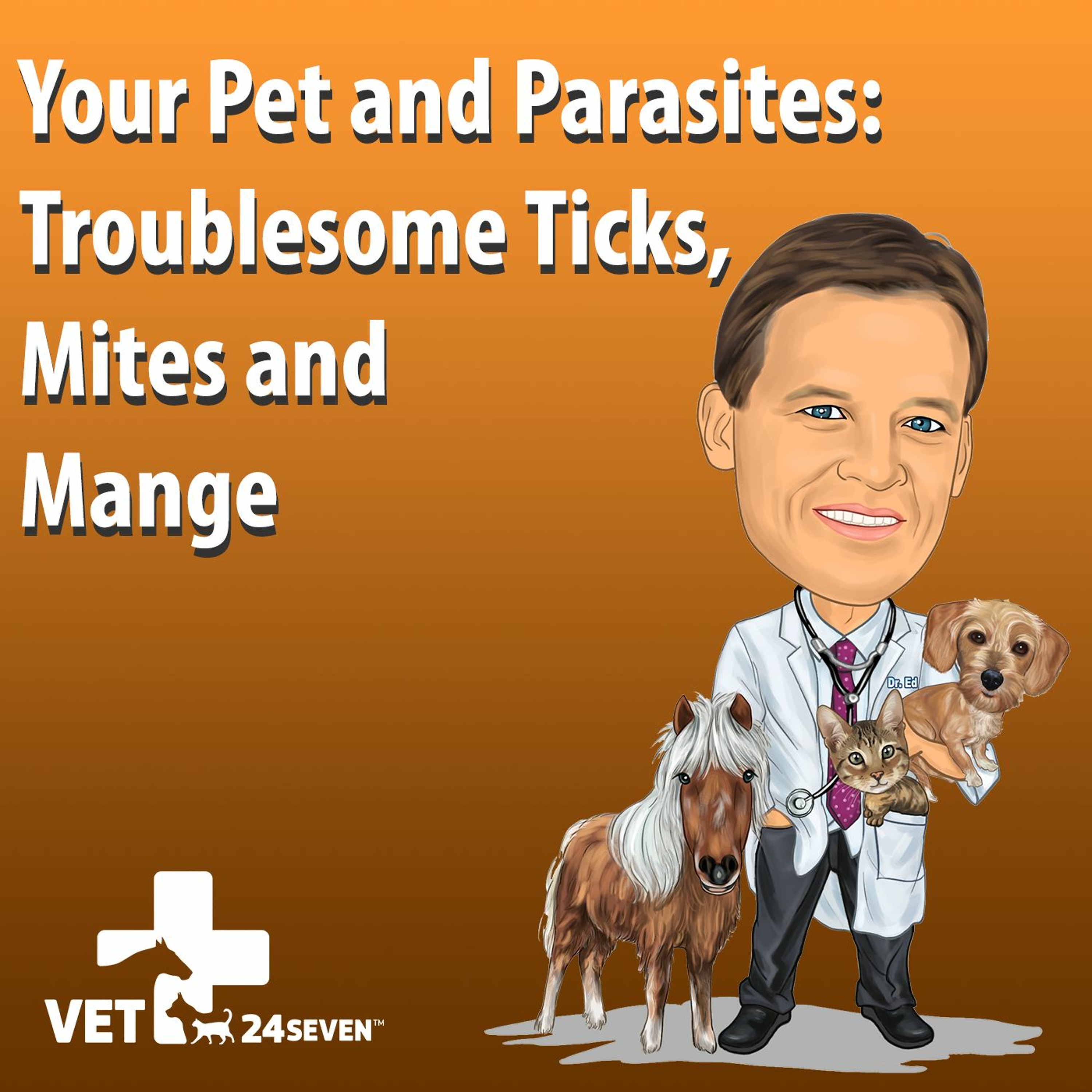 Podcast4 Q4 - What Is Mange In Cats And Dog episode artwork