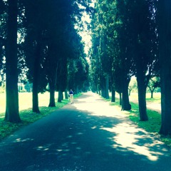 The Men That Drive Me Places