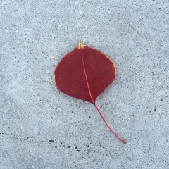 la flor, el mar Y tu bien