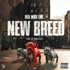Mix Mob Ent - New Breed Ft. Peezy, Mistah Meez, Kyng Deezy (Prod. by Tuck Beats)