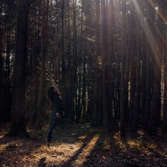 "The murdered forest" (-10)