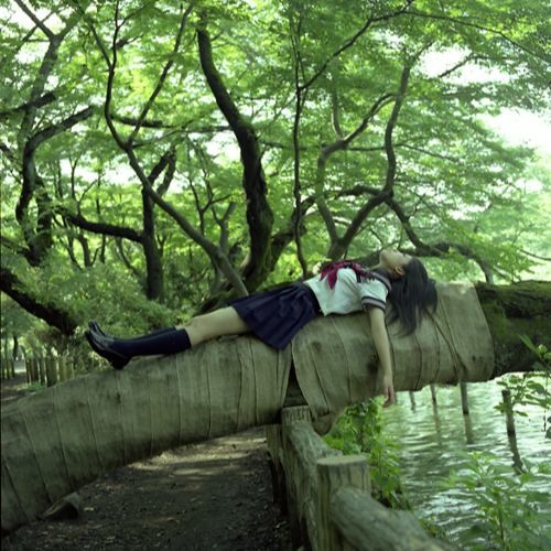 Stream In The Forest by Recovering Hikikomori | Listen online for free ...