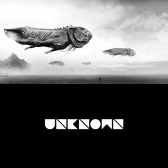 IDGVF & Stravy - Unknown
