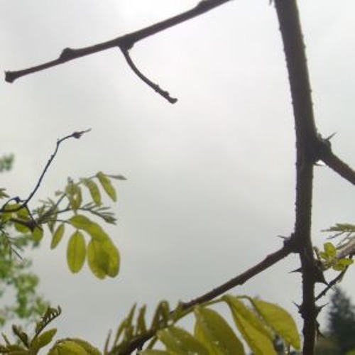 [PREVIEW #2] Angular Geometry - Forthcoming Album on Shimmering Moods Records