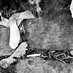 Could The Damage Ever Be Made Good? (Live at Kenton Club 9 9 2015)