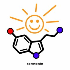 Niggor - Serotonin (John-K Dub)