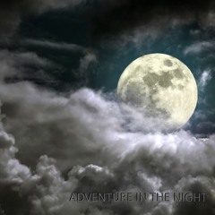 Adventure In The Night
