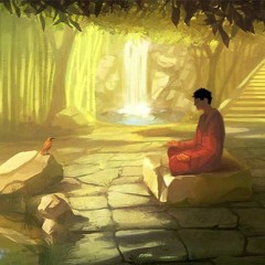 Có là bao - Sol