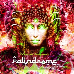 Palindrome - (A Journey of Soul) Feat. V. Lakshmi Narayanan