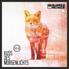 [Elektro - House] Pappenheimer - Der Kuss Des Morgenlichts Vol. 10