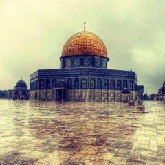 النشيد الوطني الفلسطيني - موطني موطني By Jeneen Al - Yazouri