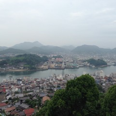 飛行訓練(merotronica mix)