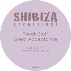Tough Stuff - Great Acceptance (Moe Turk, Fat Cat Slim Remix) | #32 in Traxsource Deep House Top 100