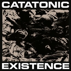 Catatonic Existence - M.W.D. (Mafia Hit Dub Mix)