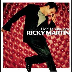 Ricky Martin - Livin La Vida Loca (cover)