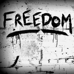 Anthony Hamilton & Elayna Boynton - Freedom (Freek Bootleg)