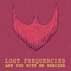 Lost Frequencies - Are You With Me(Joshua Ochoa remix)